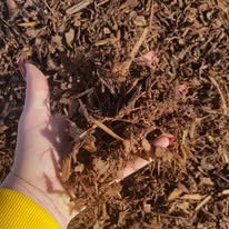 Bark Mulch (Mini Chip) in Tonne Bags